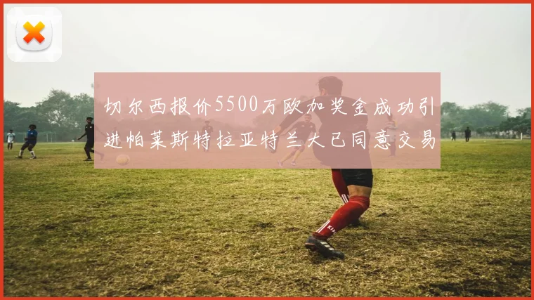 切尔西报价5500万欧加奖金成功引进帕莱斯特拉亚特兰大已同意交易
